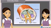 http://study.aisectonline.com/images/Life Process Excretion V.jpg